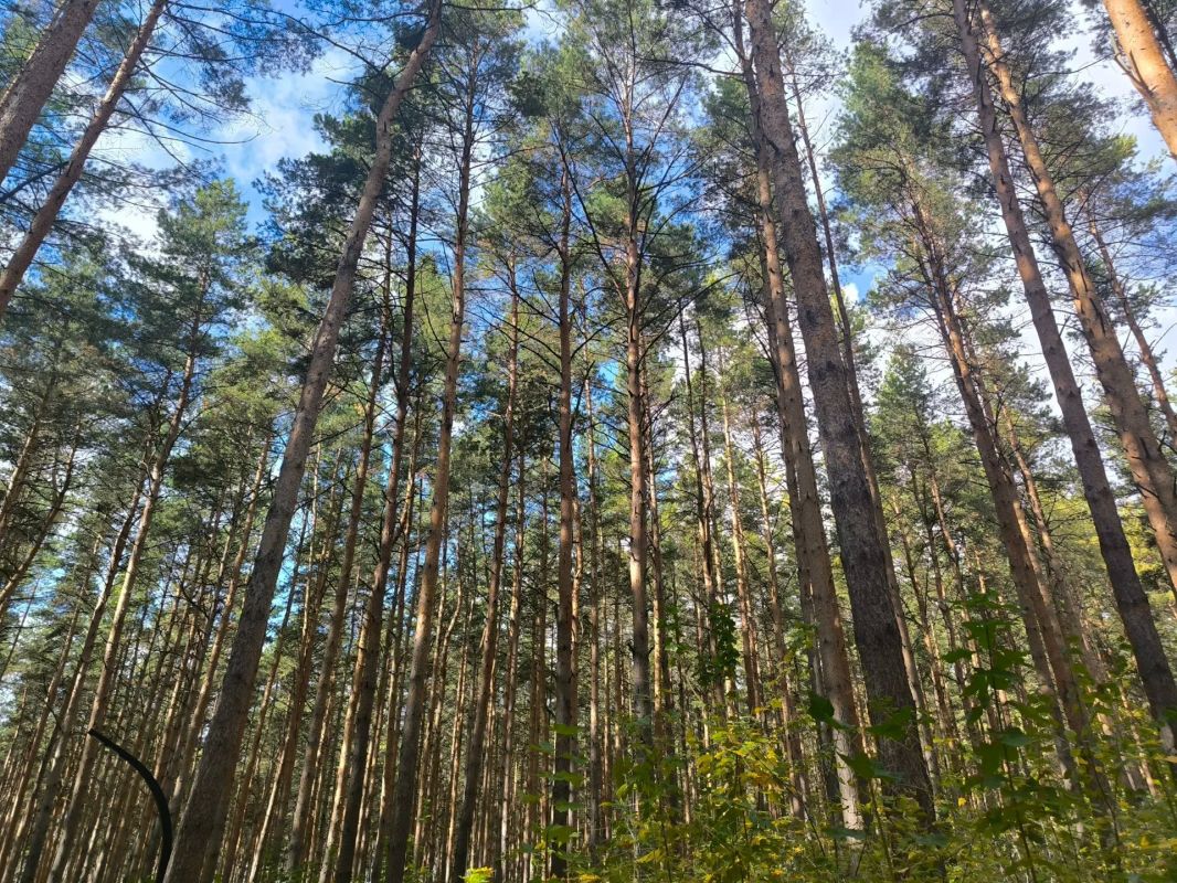 В Уфе сохраняется жаркая погода