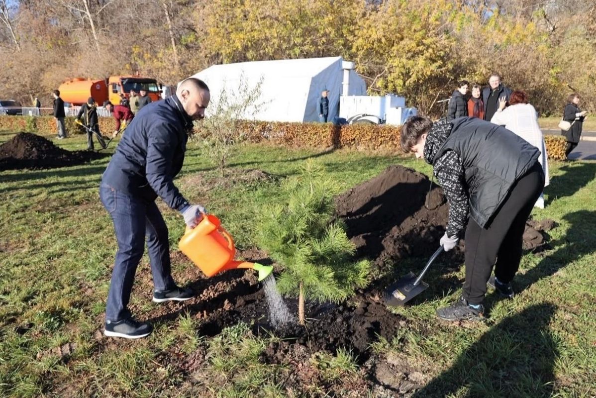На «Аллее отцов» высадили новые деревья На «Аллее отцов» высадили новые деревья
