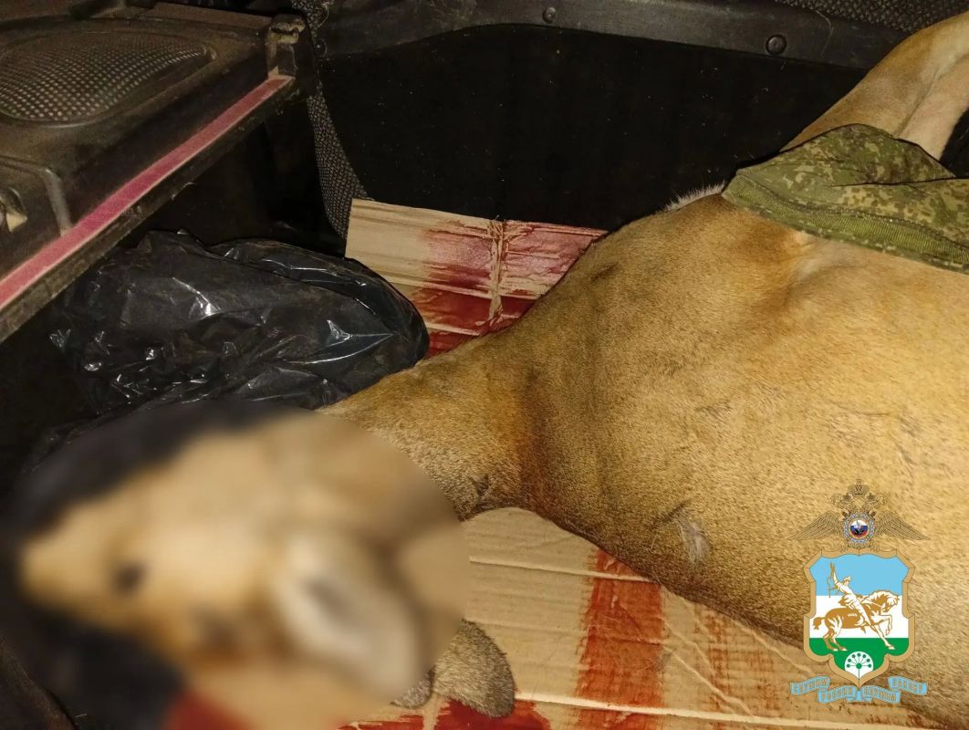 В Дюртюлинском районе за незаконный отстрел косули полицейские задержали двух мужчин