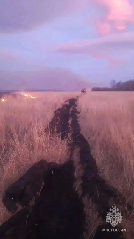 В Башкирии тушат крупный природный пожар на площади 20 гектаров В Башкирии тушат крупный природный пожар на площади 20 гектаров