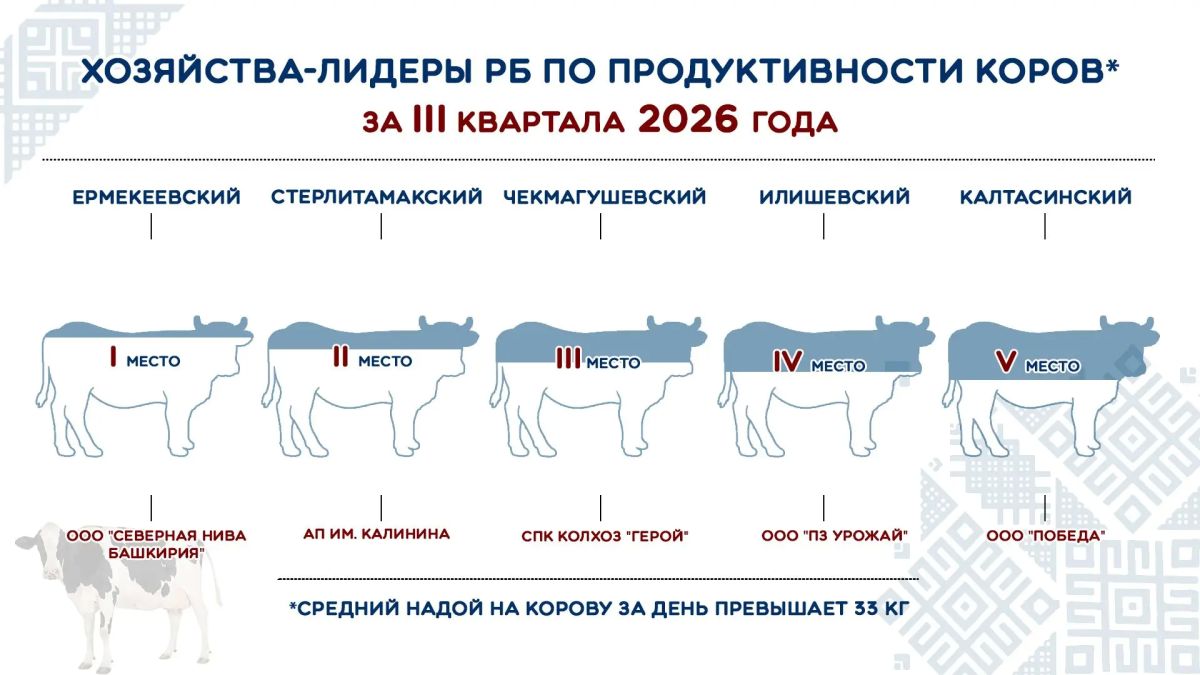 Стали известны лидеры молочного рейтинга за 9 месяцев 2026 года в Башкортостане! Стали известны лидеры молочного рейтинга за 9 месяцев 2026 года в Башкортостане!