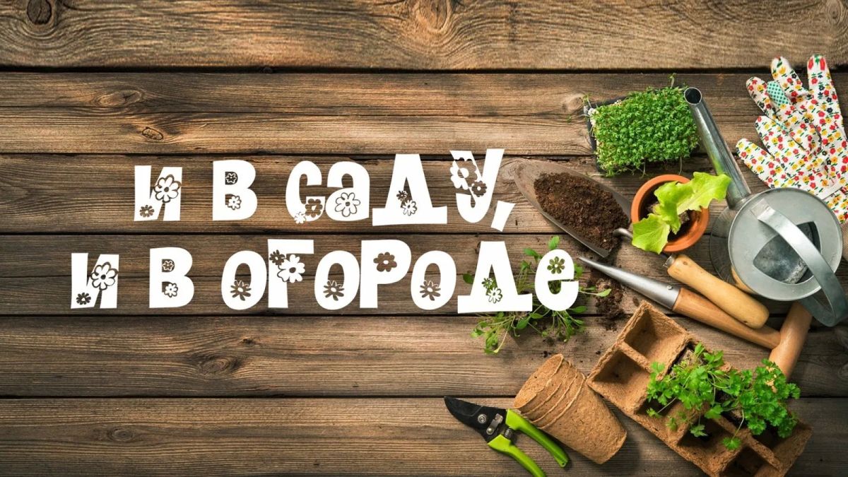 Готовим огород к весне уже осенью!