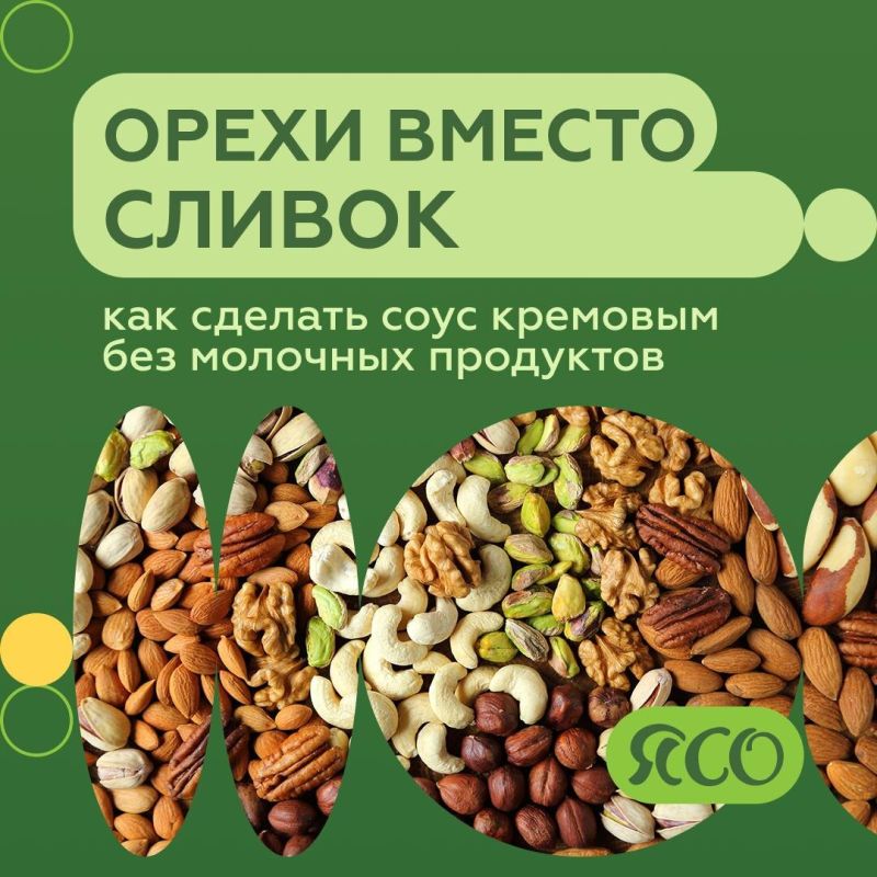 Кремовый соус без сливок: простой способ приготовить его из кешью